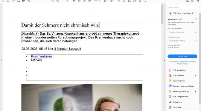 Kleine Weltgeschichte des PDF-Formats*